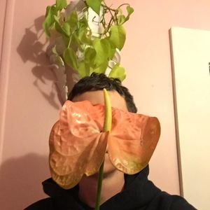 Meet your Posher, Alex